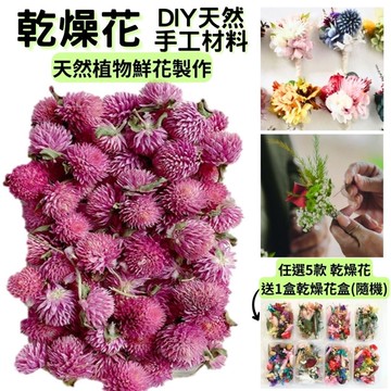 【A-ONE】千日紅 天然乾燥花 材料包 乾燥花材 花藝材料 松果 乾花 永生花 橡實 花瓣 拍照道具 婚禮 A16_廠商直送