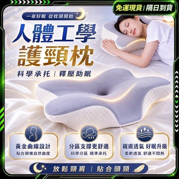 隔日達✨失眠救星 記憶枕✨人體工學 枕頭 護頸 蝴蝶枕 側睡枕頭 低枕頭 好睡枕頭 蝴蝶枕頭 蝶型記憶枕 蝶形枕記憶枕頭