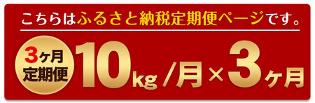 新米 令和5年産 森のくまさん  白米 《お申込み月の翌月から出荷開始》 10kg (5kg×2袋) 計3回お届け 熊本県産 単一原料米 森くま 熊本県 御船町