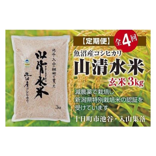 ふるさと納税 新潟県 十日町市 玄米3kg　新潟県魚沼産コシヒカリ「山清水米」