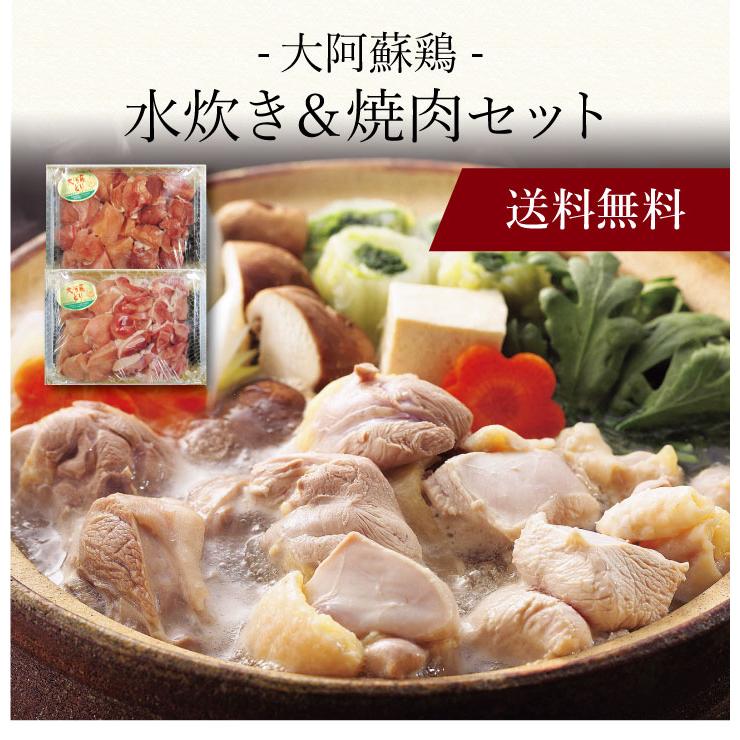 お取り寄せ 送料無料 内祝い 〔 大阿蘇鶏水炊き＆焼肉セット 〕 出産内祝い 新築内祝い 快気祝い 肉