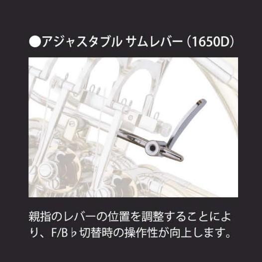 XO ホルン 1650D (ガイヤータイプ) エックスオー  管楽器