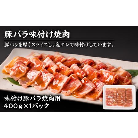 ふるさと納税 焼肉セット5種盛り 計1.7kg タン ハラミ ホルモン プルコギ カルビ 熊本県八代市