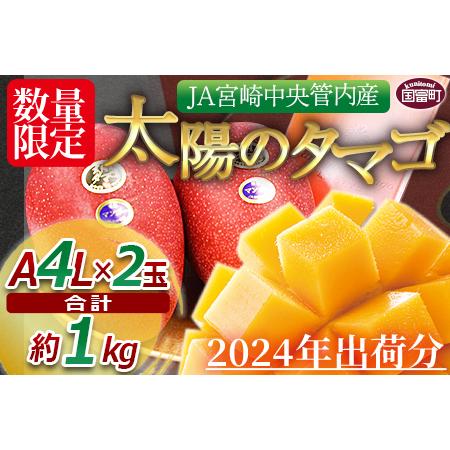 ふるさと納税 予約受付！数量限定！＜宮崎県産 太陽のタマゴ A等級 4Lサイズ×2玉（合計約1kg）＞2024年4月下旬〜6月末迄に順.. 宮崎県国富町