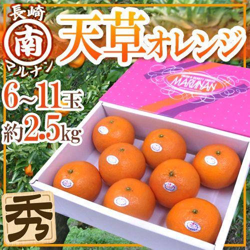 長崎 マルナン ”天草オレンジ” 秀品 6〜11玉 約2.5kg 化粧箱 送料無料