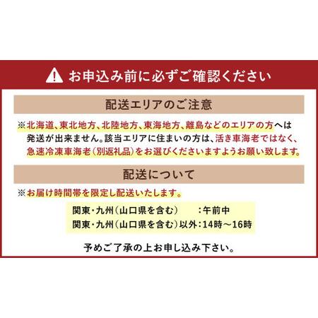 ふるさと納税 熊本県産 活き車海老 約600g（14〜22尾程度）大サイズ厳選品 熊本県宇城市