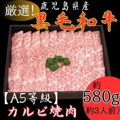 ふるさと納税 霧島市 鹿児島県産厳選!黒毛和牛カルビ焼肉用約580g!(3人前)　C-014