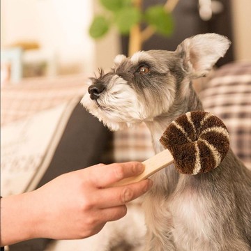 北山正積-日本職人手造寵物毛刷 犬用按摩刷 【type-A款】
