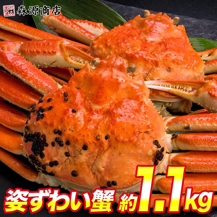 かに カニ 蟹 ズワイガニ ボイル 姿ずわい2尾 約1.1kg(1kg〜1.2kg) 高級カナダ産 大サイズ グルメ 食品 お歳暮 ギフト 10%クーポン