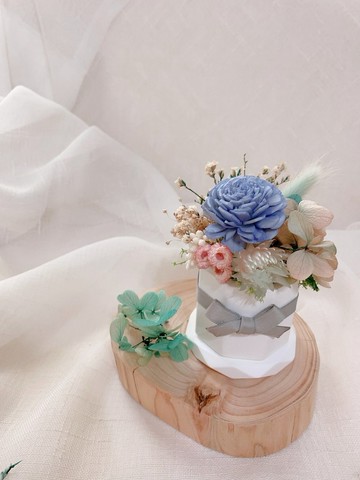 微香花語  索拉花擴香盆花【可客製顏色】