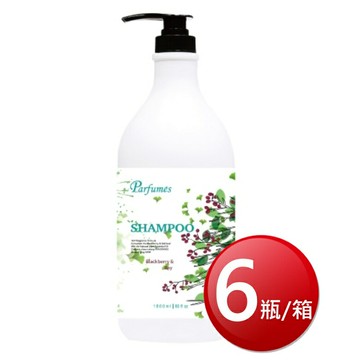 ★免運★箱購免運 Parfumes英倫香水洗髮露(月桂葉 1800ml*6瓶/箱) [大買家]