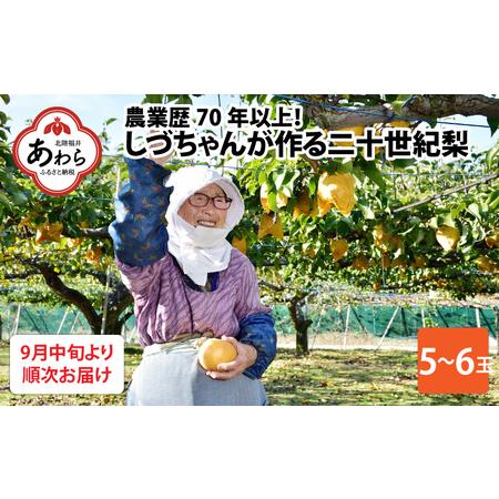 ふるさと納税 しづちゃんが作る 二十世紀梨 5〜6玉入（2.5〜3kg） 農業歴70年以上！   なし 果物 旬 フルーツ 甘い ジューシー 果.. 福井県あわら市