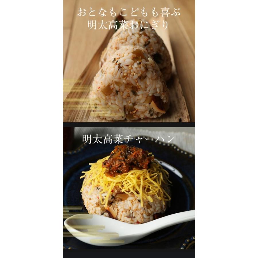 魚屋の明太高菜 辛子高菜 95g×10P 買い置き 九州博多明太子 ネコポス 母の日 父の日 敬老 在宅 中元 お歳暮