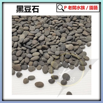 P老闆水族~黑豆石 500克/1000克  造景 底砂 底沙 水草缸水草造景 園藝 盆栽鋪面