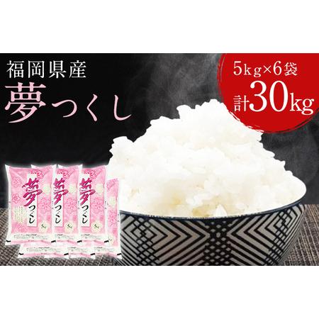 ふるさと納税 福岡の人気銘柄!!福岡県産夢つくし5kg×6袋（合計30kg） 福岡県産 夢つくし ゆめつくし 米 お米 白米 福岡県産米 福岡県田川市