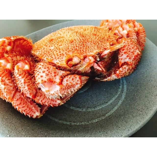 毛ガニ 毛がに 毛蟹 北海道産 浜茹で毛ガニ １杯約660g 特大サイズ 最上級品 堅ガニ ギフト お取り寄せ お歳暮 2023年物