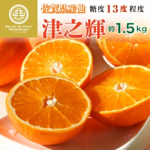 [予約 12月1日-12月31日の納品] 津の輝 つのかがやき 津之輝 約1.5kg 佐賀県産 糖度約13度 柑橘  冬ギフト お歳暮 御歳暮