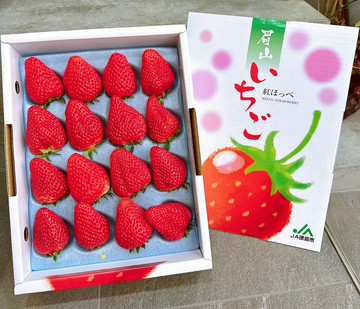 【帕查嬤嬤】????日本 德島 眉山 紅顏草莓 禮盒｜日本草莓禮盒