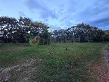 汐止姜子寮段農林地｜新北市汐止區姜子寮段姜子寮小段