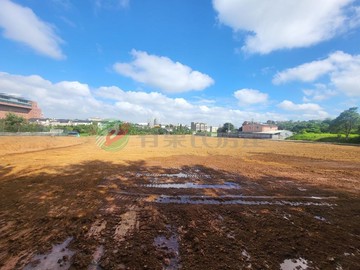 桃園市近中央大學交流道都內田｜桃園市中壢區五權段