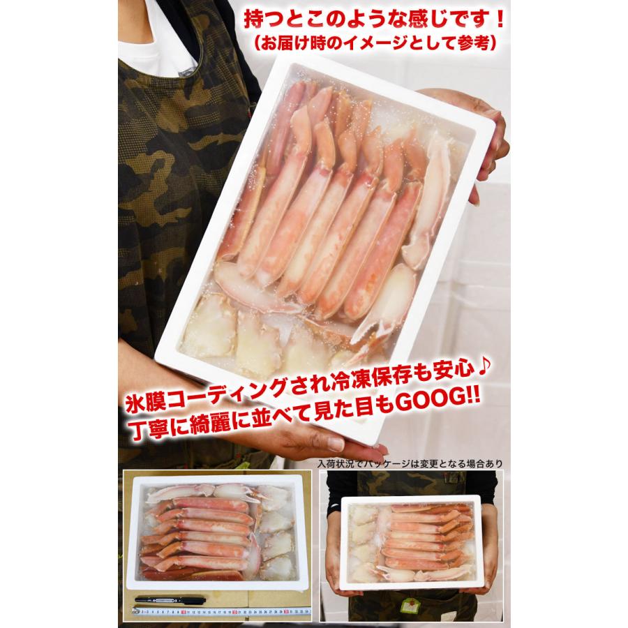 お一人様2コまで カット済み ズワイガニ ボイル 800g前後 特大棒肉入 ハーフカット　ビードロカット ポーション ずわいがに カニ鍋 かに蟹パーティ