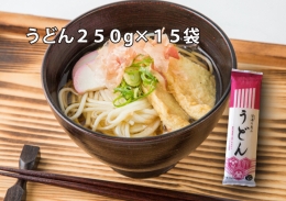 碧海の恵み うどん 愛知県産 徳用セット3.75kg(250g×15袋)　H008-225