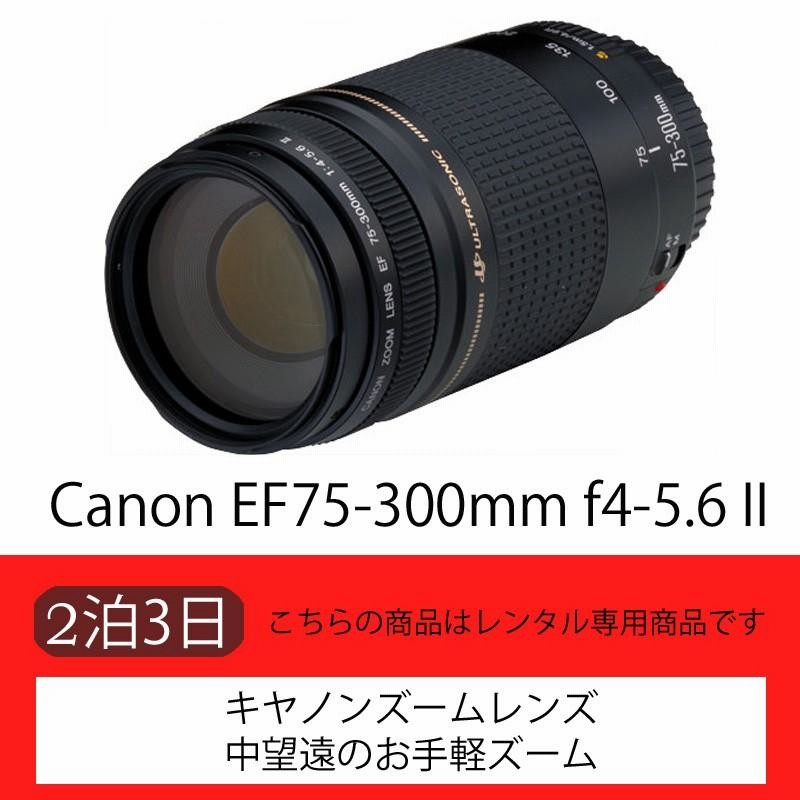 12月15日限定【超望遠レンズ】Canon EF 75-300mm Ⅲ USM 12月10日限定販売✨【超望遠レンズ】Canon EF 75-300mm