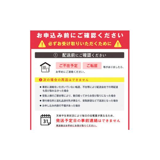 ふるさと納税 山形県 寒河江市 洋梨 「追熟 ラ・フランス」 5kg（14〜18玉） 令和5年産 山形県産　018-B-MM026