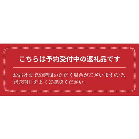 ふるさと納税 訳あり 新玉ねぎ　生がおいしい 神重農産のブランド玉ねぎ「旬玉」3kg　H105-114 愛知県碧南市