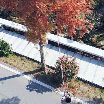 高枝剪伸縮園林工具修剪樹枝剪刀高枝鋸修樹鋸高空剪子園藝修枝剪