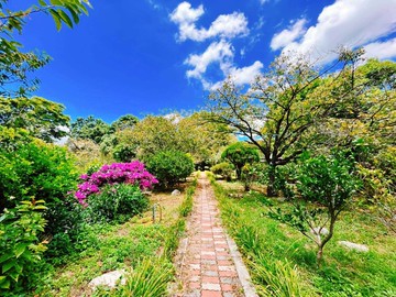陽明山秘境花園｜台北市士林區力行段三小段