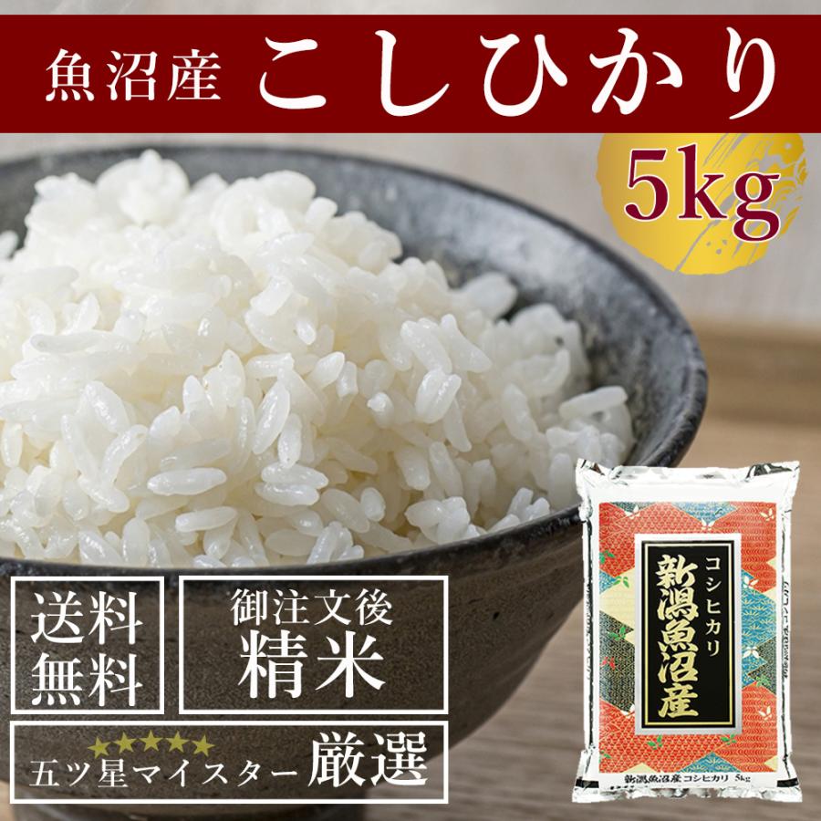 新米 令和5年産 新潟 魚沼産 コシヒカリ 5kg お米 送料無料 受注精米