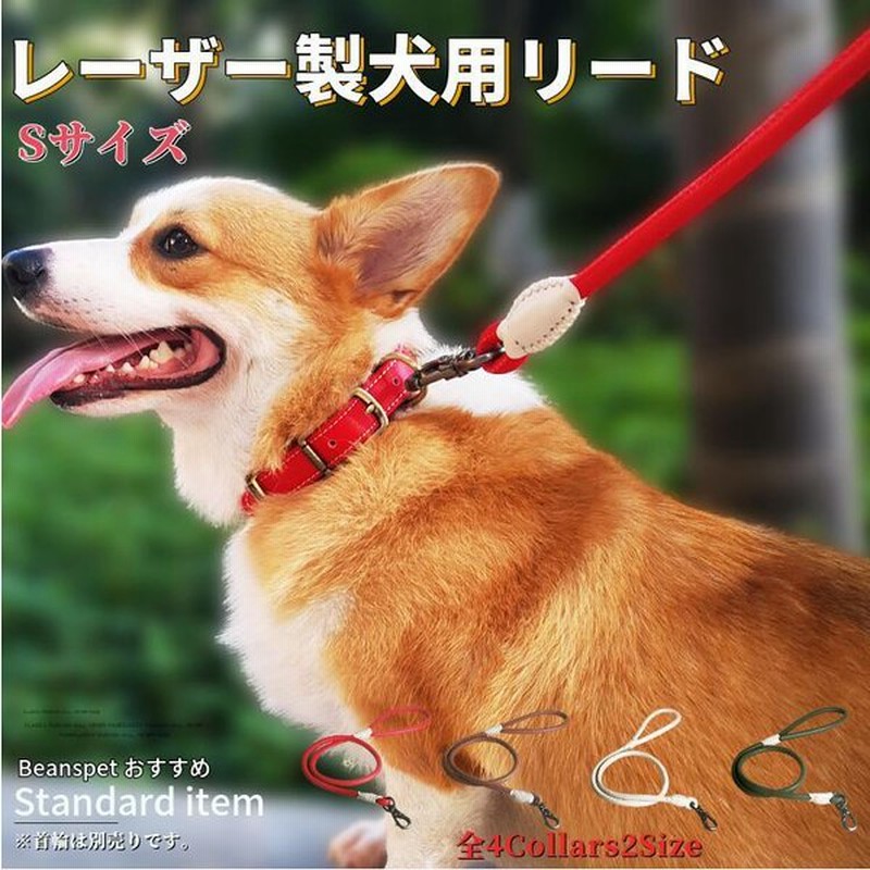 犬 リード 犬用リード おしゃれ かわいい 犬用 訓練 トレーニング 犬リード 犬のリード ナスカン 革 皮 レザー 小型犬 中型犬 いぬ 丈夫 犬用品 通販 Lineポイント最大get Lineショッピング