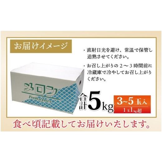 ふるさと納税 福井県 あわら市 マルセイユメロン 3〜5玉入「ユメマル」5kg 《とろけるような食感の絶品 赤肉メロン》／ 果物 フルーツ 産地直送 …