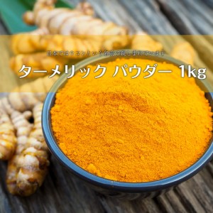 ターメリックパウダー 1kg   Turmeric ウコン 鬱金 業務用 1Kg Ambika(アンビカ) インド スパイス カレー アジアン食品 エスニック食材