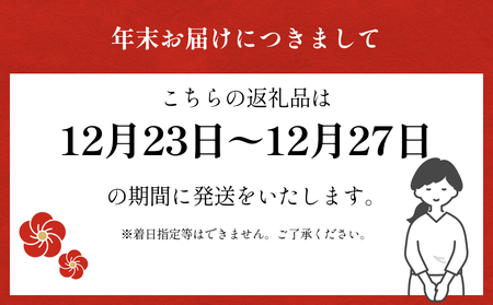 お酒のお供「ほたるいか素干し」「ほたるいか味醂」「するめいか塩辛」珍味３種セット 魚貝類 加工食品 魚介類 ホタルイカ イカ 塩辛 みりん干し 富山湾 氷見