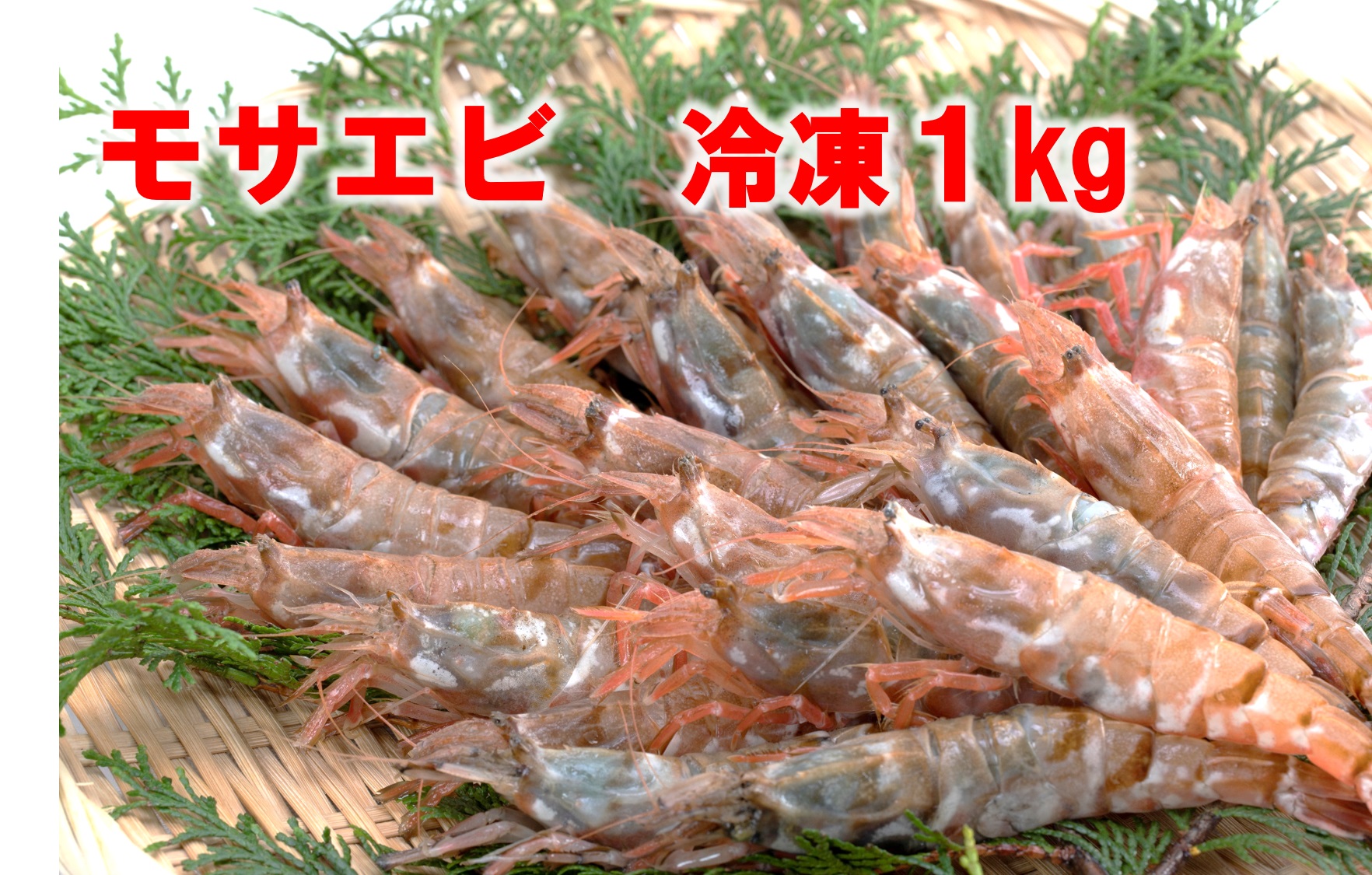 1165 モサエビ 冷凍1kg(中～大サイズ)