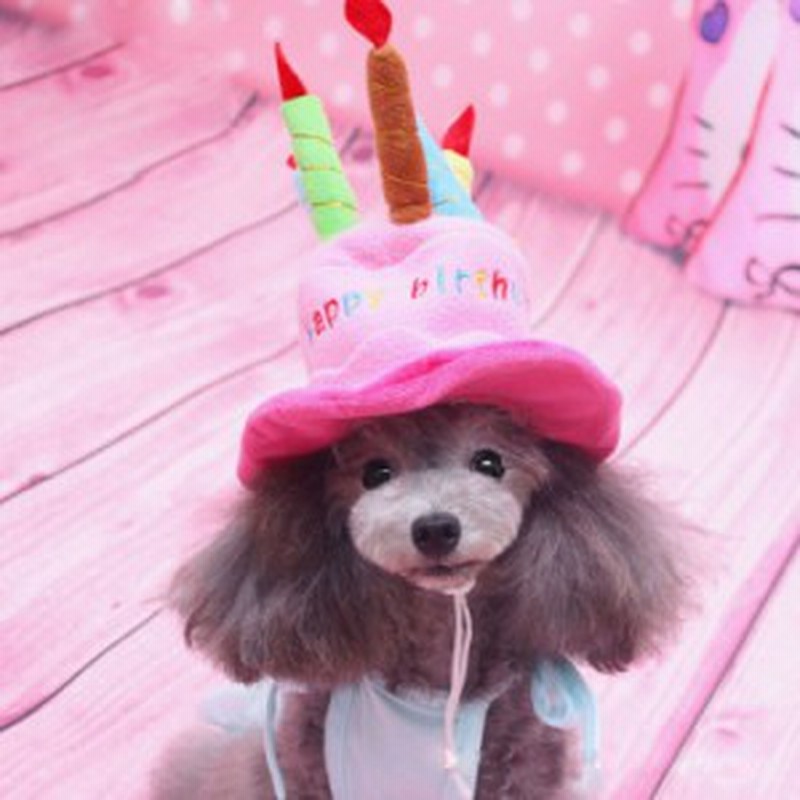 犬用お誕生日パーティ帽子 犬帽子 ハッピーバースデーハット バースディ かぶりもの 仮装 ドッグウェア 犬の洋服 記念日写真 F808 通販 Lineポイント最大1 0 Get Lineショッピング