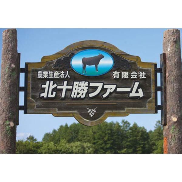 北海道 北十勝ファーム 短角牛カレー ギフト対応可