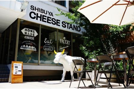 CHEESE STAND 朝食向けフレッシュチーズ3種×3セット