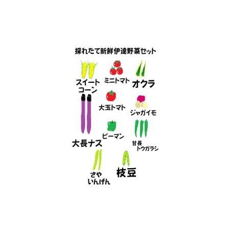 ふるさと納税 新鮮採れたて！旬の伊達野菜セット（6〜8種） 北海道伊達市