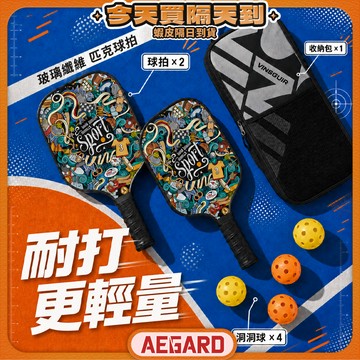 【玻纖材質穩定耐打】匹克球拍 玻璃纖維 匹克球 皮克球 皮克球拍 現貨 匹克球球拍 匹克球拍套組 玻璃纖維匹克球拍