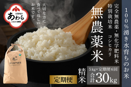 《定期便6回》コシヒカリ 精米 5kg（計30kg） 特別栽培米 化学肥料不使用  ＜温度と湿度を常時管理し新鮮米を出荷！＞   伊与衛門農園の特別栽培米 高品質 鮮度抜群 福井県 あわら市産 ブランド米 R6 新米 北陸 白米 お米 ご飯 ※2024年9月下旬より順次発送予定