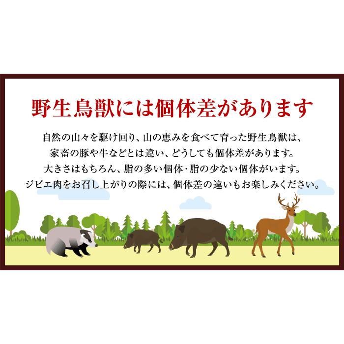 鹿肉 ジビエ 天然鹿肉 本州鹿 ニホンジカ 外モモ肉 スライス 500g 広島県産 備後地方 シカ肉 自然食 天然食 最高級 ジビエ料理 焼肉 ステーキ バーベキュー