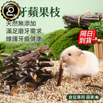 磨牙蘋果枝  磨牙棒 磨牙樹枝 小動物磨牙用蘋果枝 倉鼠磨牙棒 寵物磨牙用品 磨牙棒 蘋果枝QJ4004