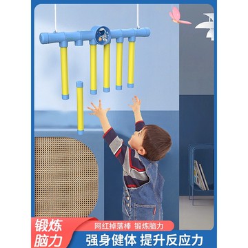 台灣發貨🔸專注力訓練✅耐心訓練益智玩具 提高注意力教具 兒童專注力玩具 運動器材專注力教具 兒童專注力訓練教具