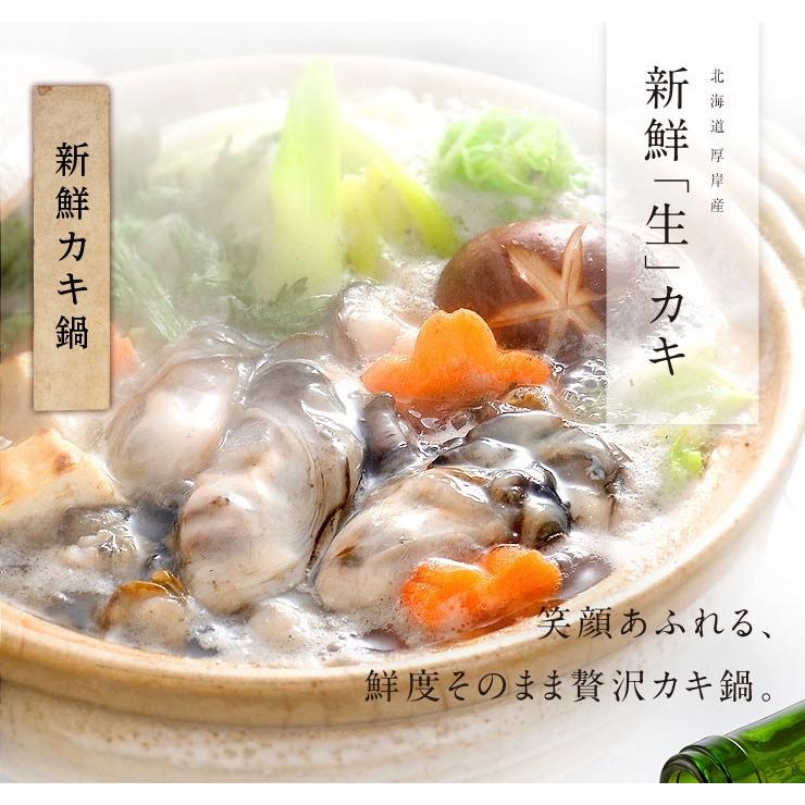 12月16〜17日お届け 牡蠣 かき カキ 北海道 厚岸産 カキえもん まるえもん 殻付き 各Lサイズ5個  食べ比べセット 生食 鍋