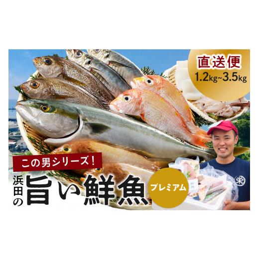 ふるさと納税 島根県 浜田市 855.浜田のプレミアム鮮魚〜この男シリーズ〜