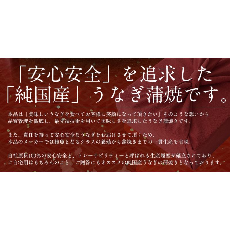 うなぎ 蒲焼き 国産 無頭 特大サイズ 約200g×3尾 ウナギ 鰻 うなぎ蒲焼 贈り物 ギフト グルメ プレゼント 冬グルメ 冬ギフト