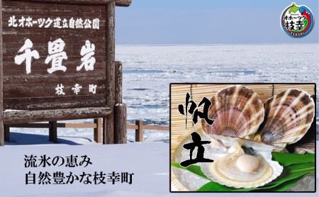 北海道 オホーツク産 ふるさとの贈り物 1.3kgの冷凍ほたて貝柱至福の味 海洋食品 刺身 魚介 帆立